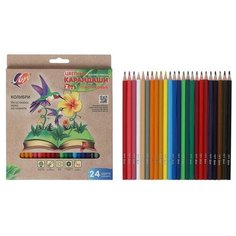 Цветные карандаши 24 цвета ZOO, пластиковые, шестигранные Луч