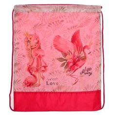 Мешок для обуви, 420 х 340 мм, СДС-3, «Принцесса и фламинго Пчёлка