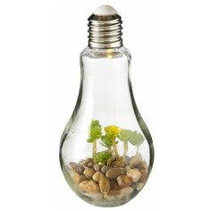 Декоративный светильник чудо- клумба, теплая белая LED подсветка, стекло, пластик, батарейки, 23 см, Boltze 1003979- сукку