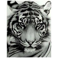 Алмазная мозаика Мудрый взгляд (На подрамнике), ТМ Цветной 40x50 см.