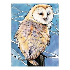 Алмазная мозаика Амбарная сова, ТМ Цветной 30x40 см.