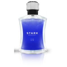 Туалетная вода Dilis Parfum Stark Bravery, 100 мл