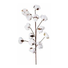 Декоративная ветка хлопок, 68 см, Boltze 2009992- boltze