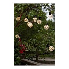 Гирлянда из лампочек BIG CIRCUS, 10 прозрачных ламп, 100 тёплых белых микро LED- огней, 4.5+5 м, 220/3.2 V, уличная, STAR