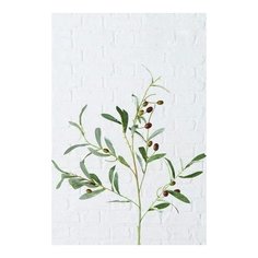 Декоративная ветка олива зелёная, пластик, 77 см, Boltze 2008426-boltze