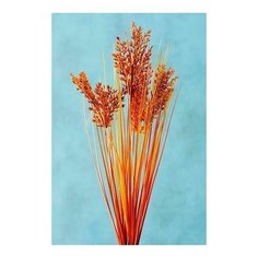 Декоративная ветка букет из злаков, пластик, 48 см, Boltze 2005648-мелкие