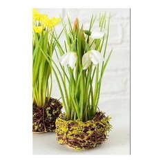 Искусственные весенние цветы подснежники В гнёздышке, белые, 20 см, Boltze 1014162-белые