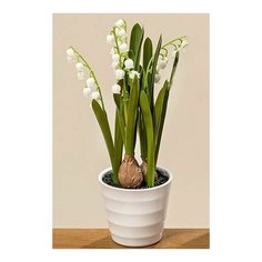 Искусственные весенние цветы ландыши в горшке, 28 см, Boltze 1002265-1