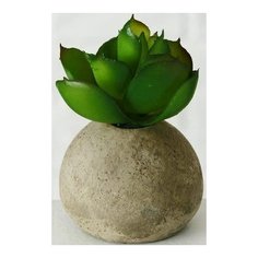 Искусственное растение крошка суккулент в горшке (Эхеверия), пластик, 7 см, Boltze 2008432-2