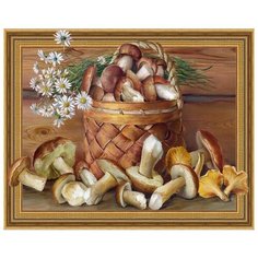 Алмазная мозаика Бузин. Натюрморт с грибами, Molly 40x50 см.
