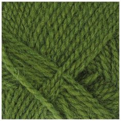 Пряжа "Ангорская тёплая" 40% шерсть, 60% акрил 480м/100гр (119 горох) 1моток 3650381 Пехорка