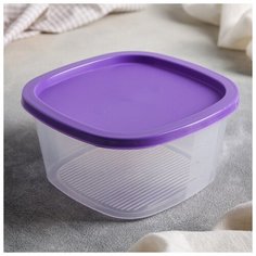 Контейнер пищевой 0,9 л BioFresh квадратный, цвет микс 2792219 Spark Plast