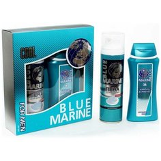 Festiva подарочный косметический для мужчин Blue Marine Cool (шампунь 250 мл + пена для бритья 200 мл)