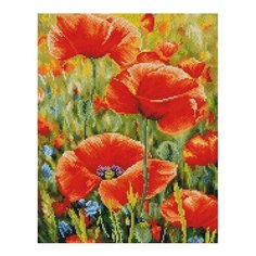 Алмазная мозаика Степные маки, PaintBoy 40x50 см.