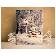 Светодиодное оптоволоконное настенное панно волшебная ёлочка, RGB LED- огни, фиброволокно, 30х40 см, батарейки, Peha Magi