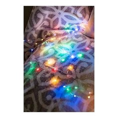 Гирлянда светлячки, 80 цветных mini LED- ламп, 4 м, серебристый провод, батарейки, Koopman International AX9703030/AX8703