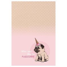 Записная книжка А5 80л. BG "Pugicorn", матовая ламинация, выб. лак, блок в точку (арт. 326258) BG®