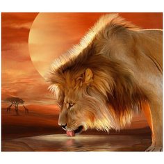 Алмазная мозаика с нанесенной рамкой 40х50 Лев на водопое Molly ( KM0906 )