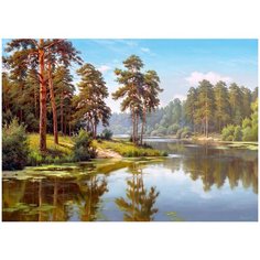 Алмазная мозаика с нанесенной рамкой 40х50 И. Прищепа. Сосны у воды Molly ( KM0916 )