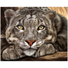 Алмазная мозаика с нанесенной рамкой 40х50 Барс Molly ( KM0926 )