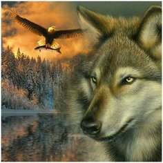 Алмазная мозаика 30х30 Волк и орёл Molly ( KM0897 )