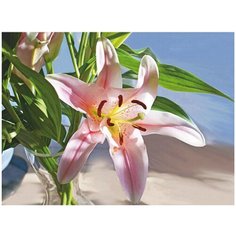 Алмазная мозаика 15х20 Лилия Molly ( KM0888 )