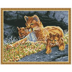 Алмазная мозаика 40х50 Урок наблюдательности Molly ( KM0637 )