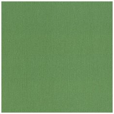 Обои RASCH Barbara XL 800562 Винил на флизелине (1,06*10,05) Зеленый, Однотонные