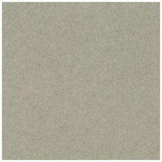 Обои RASCH Factory Style 947410 Винил на флизелине (1,06*10,05) Коричневый, Однотонный