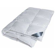 Одеяло Hefel Gold Down GD, всесезонное, 200 х 220 см (белый)