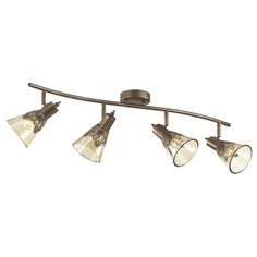 1795-4U потолочный светильник Favourite