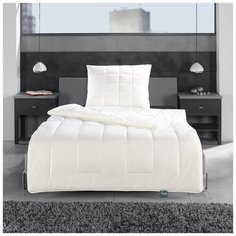 Одеяло евро Frankenstolz Freiburg 200x220см