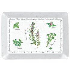 Поднос прямоугольный "Herbarium" Easy Life