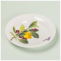 Тарелка суповая Ceramiche Viva Limoni e Lamponi 24см