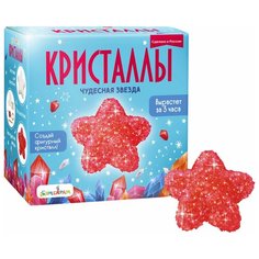 Набор для экспериментов фигурный кристалл Звезда красная Бумбарам