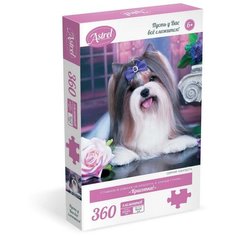 Пазл Astrel Красотка 360 элементов Origami
