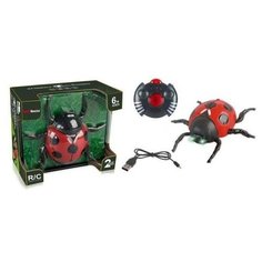 Интерактивная игрушка JUNFA "Божья коровка", ползает по стенам, р/у, с зарядным устройством, световы