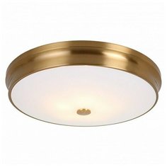 Накладной светильник Favourite