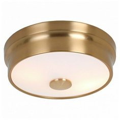 Накладной светильник Favourite