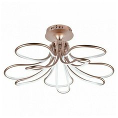 Потолочная люстра Favourite