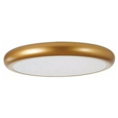 Подвесной светильник Favourite