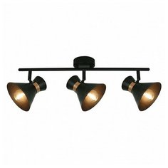 Спот Arte Lamp Baltimore A1406PL-3BK
