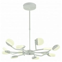 Подвесная люстра Favourite Mense 2264-12P