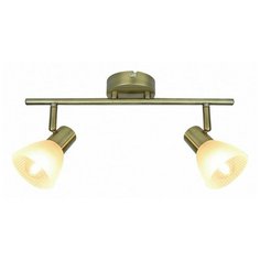 Спот Arte Lamp Parry A5062AP-2AB