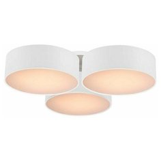 Потолочная люстра Favourite