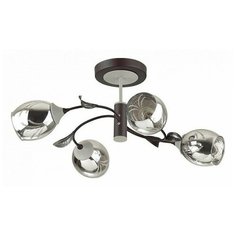 Люстра на штанге Lumion