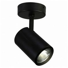 Светильник на штанге Favourite