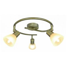 Спот Arte Lamp Parry A5062PL-3AB