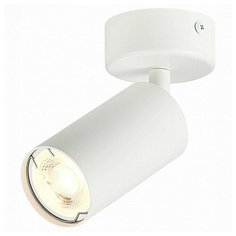 Спот ST-Luce Dario ST303.502.01