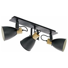 Спот Eglo Coswarth 99076